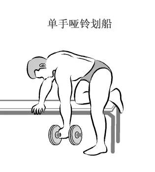 在家用哑铃锻炼背详细教学,瘦子在家哑铃锻炼全身肌肉