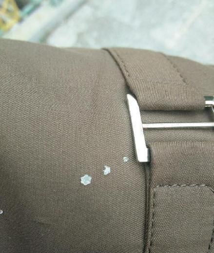 今天还是一如既往的冷！每日轻松一刻1月24日周日版