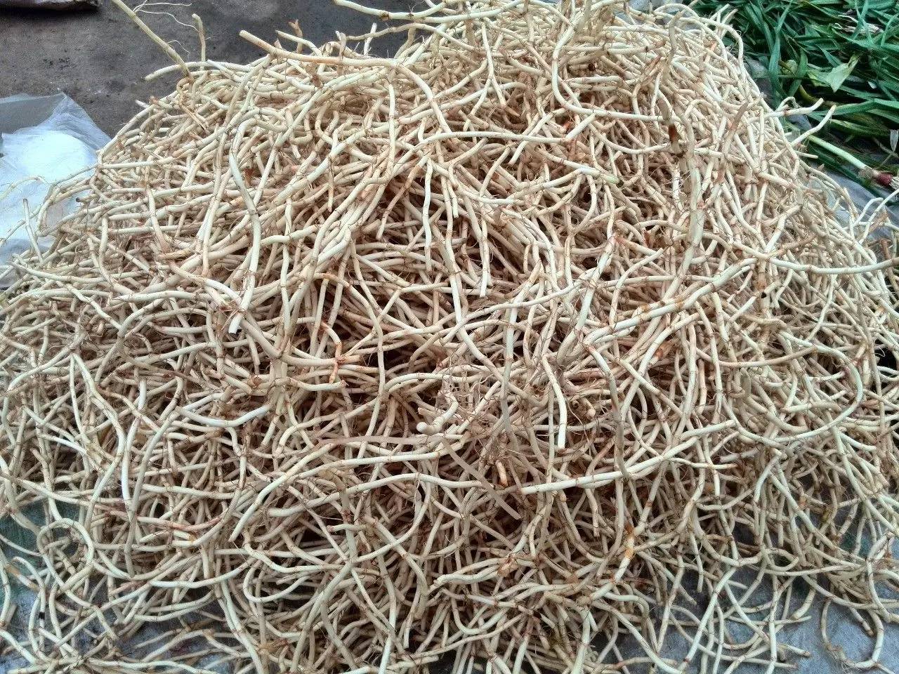 中药质量下降的主要原因,中药制剂质量存在的问题