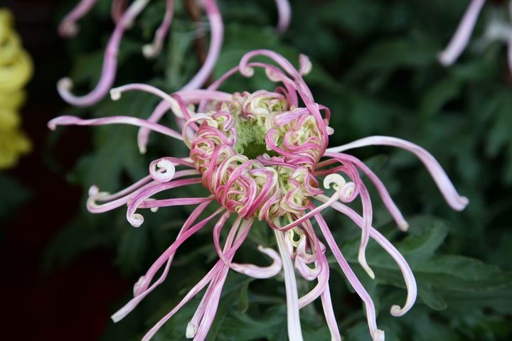我写一首诗完美地告别九月，打开十月的那扇门