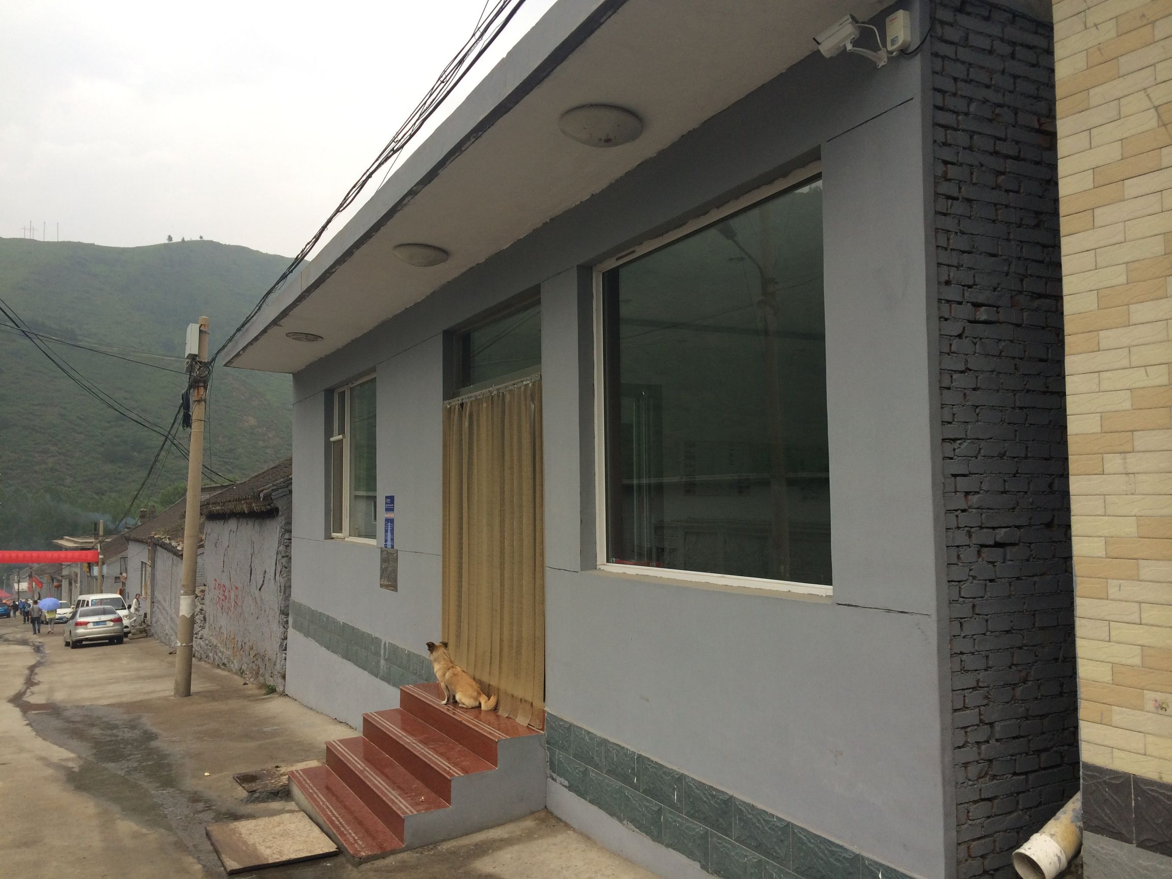 厉害了word哥什么意思,厉害了word哥视频