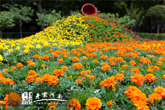 国庆去这里人少且景美,十一假期哪里去看花海