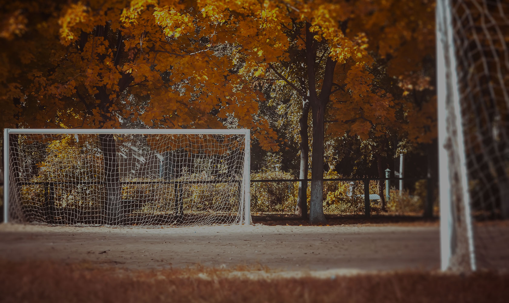 足球狗保暖吗,足球初学者的注意事项