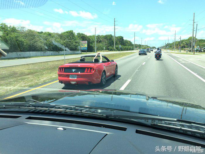 野鹅旅行,野鹅自驾无人区