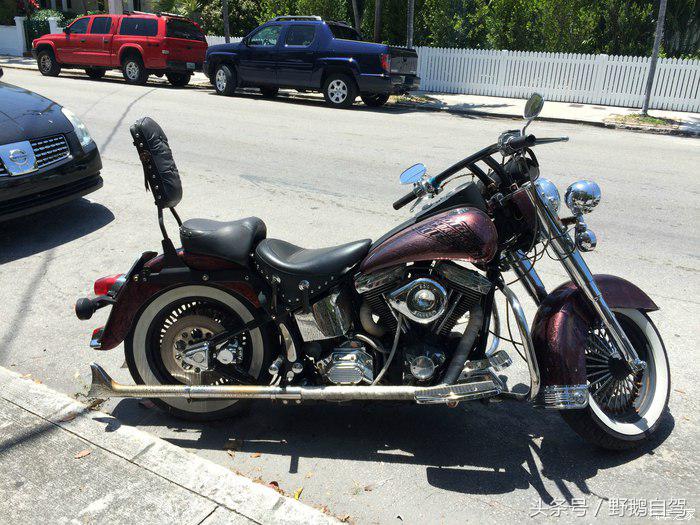 野鹅旅行,野鹅自驾无人区