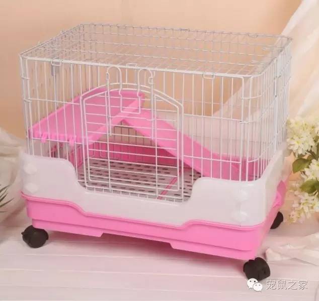 豚鼠各类饲养装备优缺点汇总之上篇