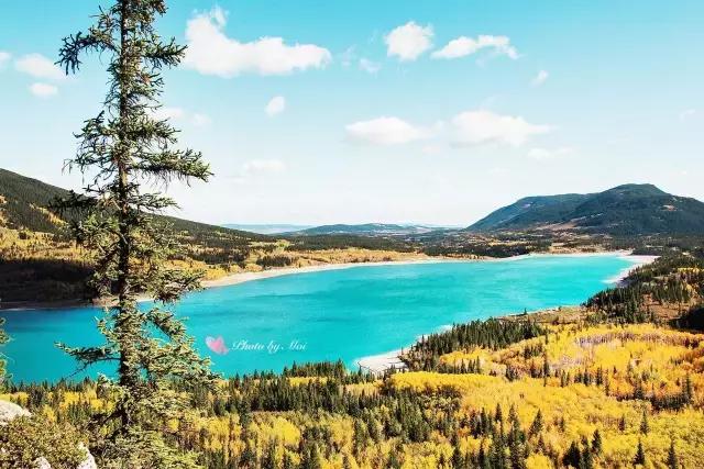 你们都错了，其实加拿大的秋季才是最厉害的时装大师