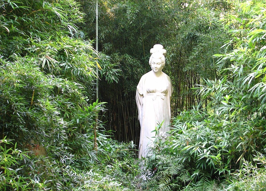 历史节目讲薛涛,薛涛传奇一生