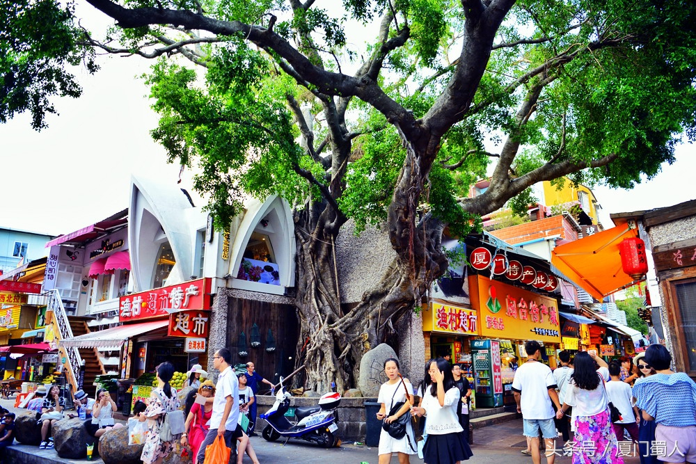 曾厝垵最文艺的渔村,曾厝垵被称为中国最文艺渔村