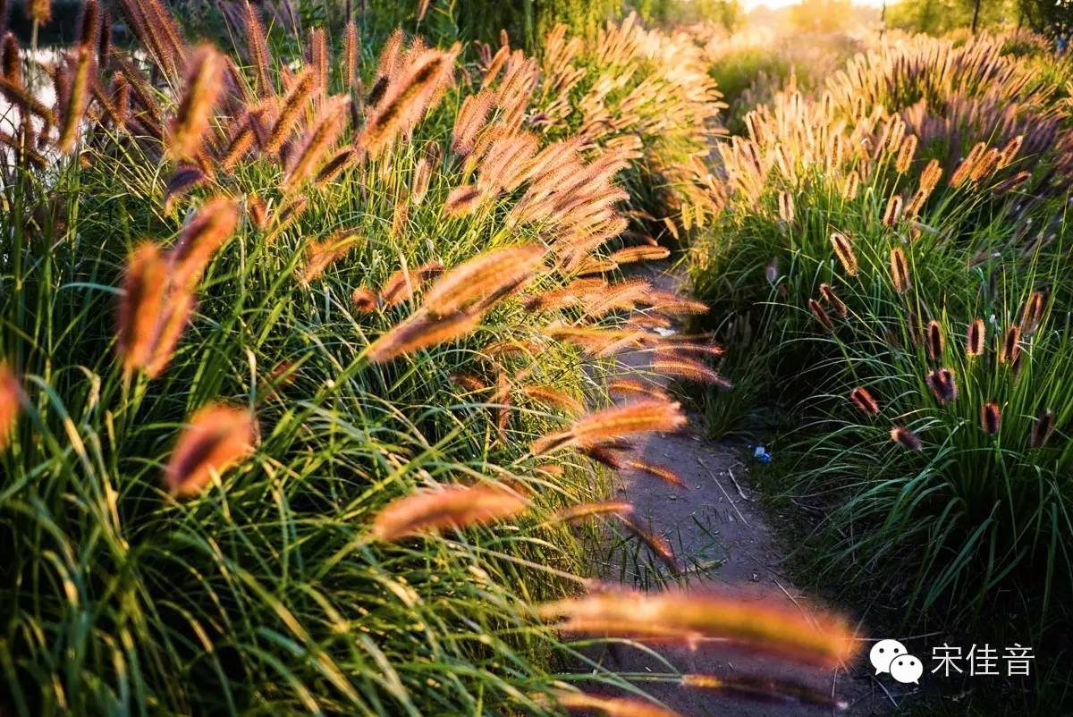 颐和园夕阳非常美的意境,北京颐和园冬天夕阳美景