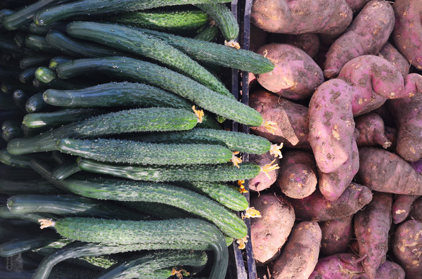 吉林市神农庄园视频,吉林神农庄园温泉度假村