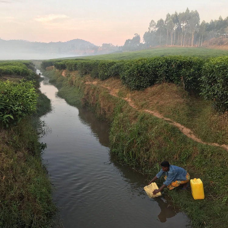 iphone7拍照怎么更好看,iphone7拍照评分