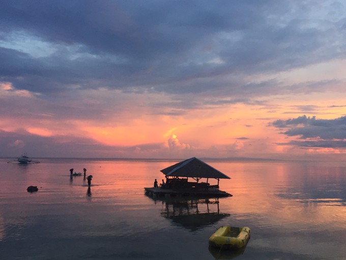 菲律宾潜水游记 (回忆菲律宾潜水的时光)