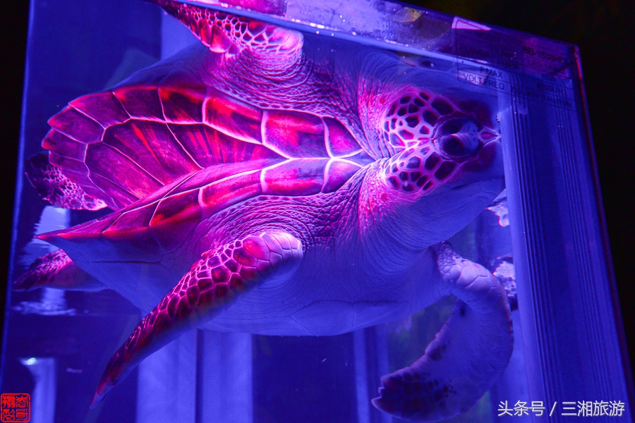 株洲漂流门票,株洲周边免门票游玩