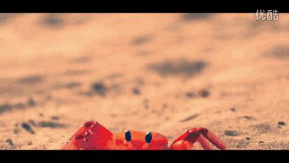 淡季嵊泗吃海鲜攻略,舟山嵊泗步行街美食