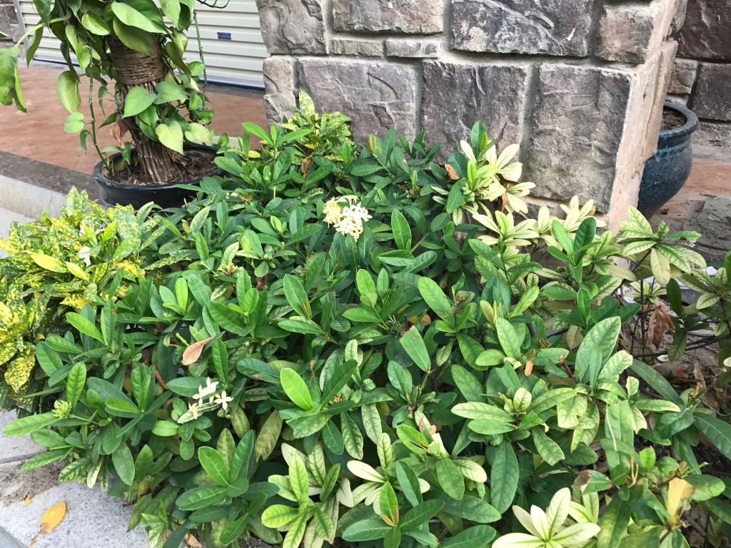 iphone7plus详细评测,苹果7plus测评还值得购买吗