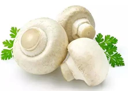 24种健康养生的食物,十种营养养生食物身体保健必备