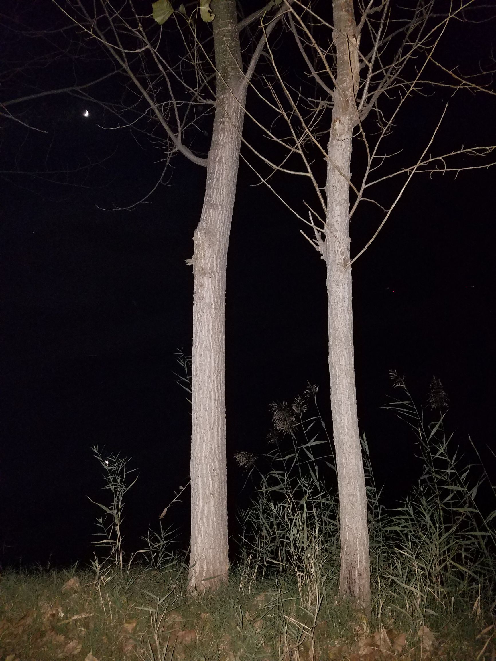 三星s7edge二手3000元左右,淘宝上买二手三星s7edge靠谱吗