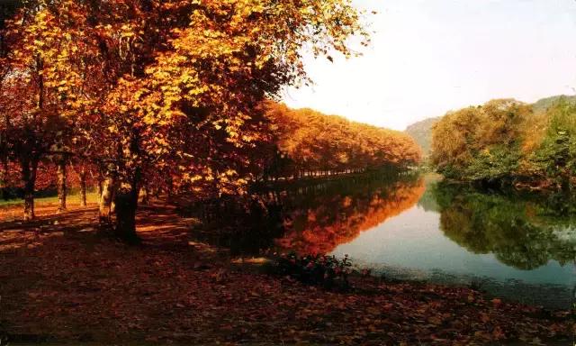 贵阳中秋节带家人一起去哪里玩,重阳节最好玩的地方