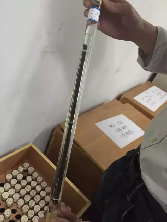 摄制组动态|卢火神附子炮制老官山墓