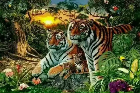 盘点单身狗的痛苦,单身狗最孤独的事