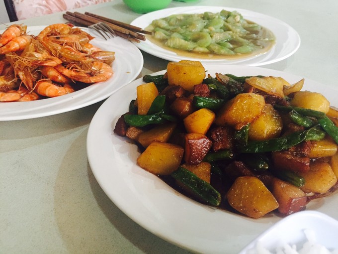 菲律宾潜水游记 (回忆菲律宾潜水的时光)