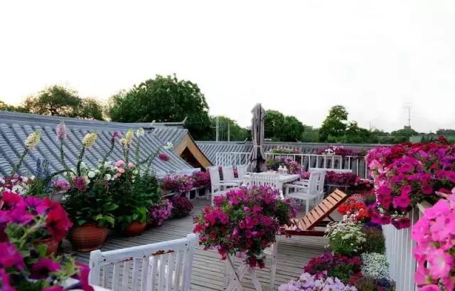 去北京旅游住青年旅舍,北京住宿攻略三天两夜