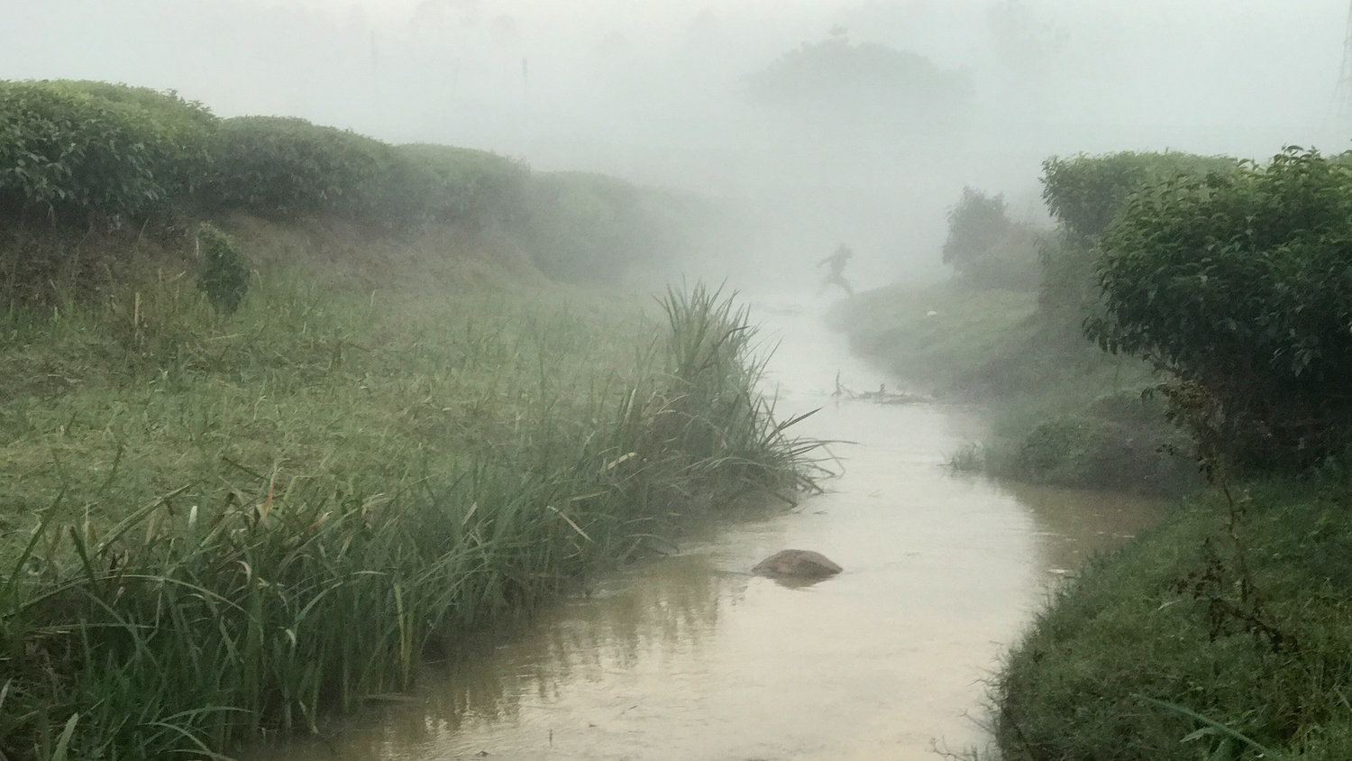 iphone7拍照怎么更好看,iphone7拍照评分