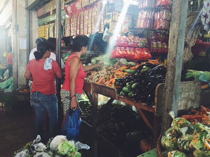 菲律宾潜水游记 (回忆菲律宾潜水的时光)