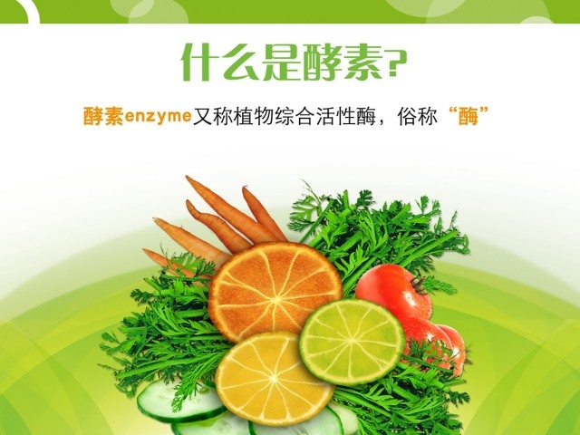 水果酵素都有哪些,神奇的酵素养生法全文阅读