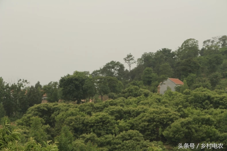 阿里腾讯参与乡村振兴,阿里农村扶贫