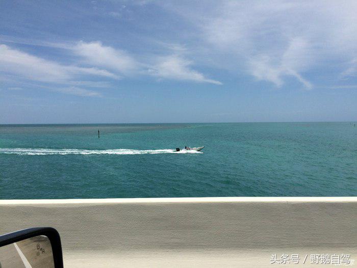 野鹅旅行,野鹅自驾无人区