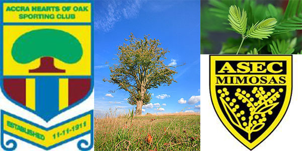 有什么奇葩的队伍名字,各种奇葩队名字