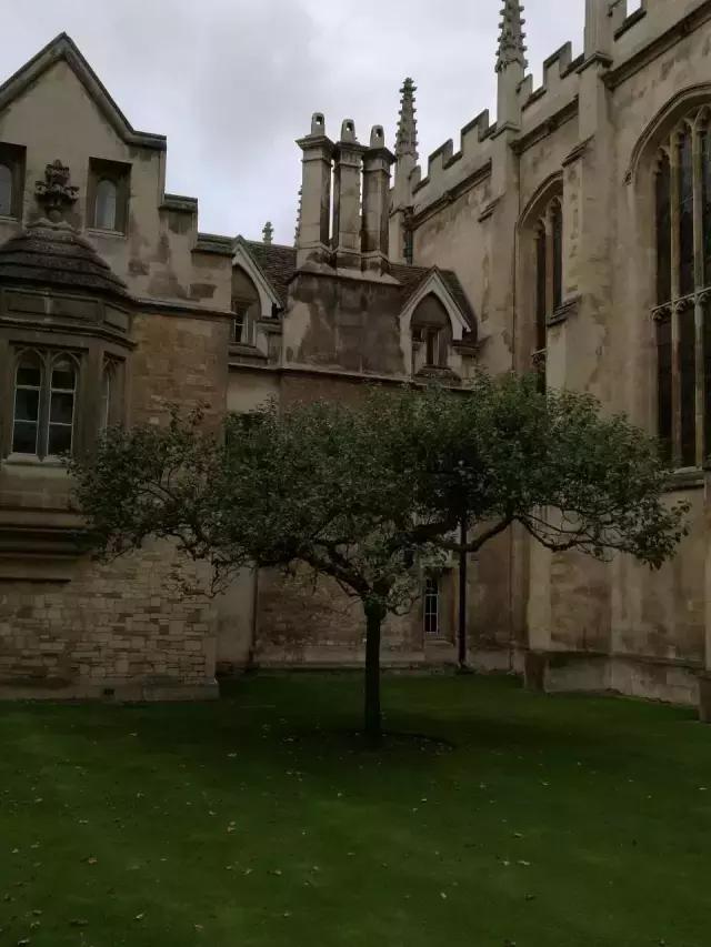 伊顿公学牛津,伊顿公学和剑桥