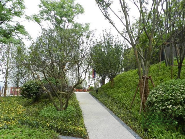 岳麓万科金域滨江,长沙市岳麓区万科里金域滨江