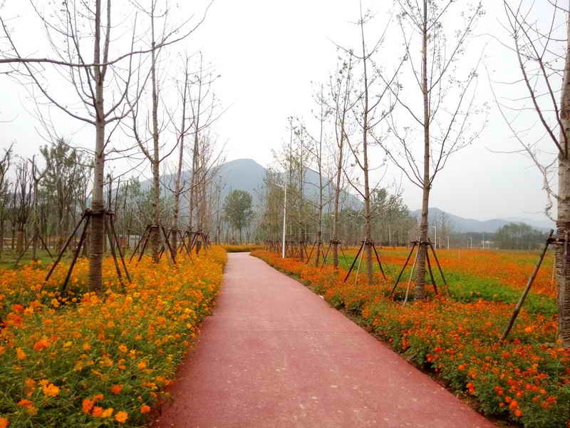 东楚风s带您提前体验阳新乡博园