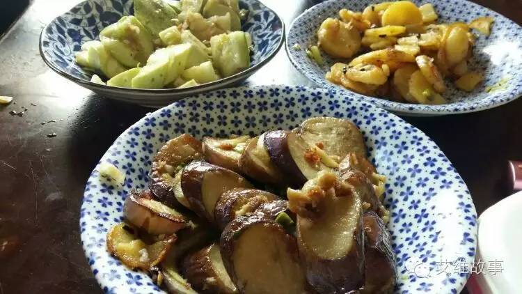 艾维wwoofer之：一路前行，一路感动