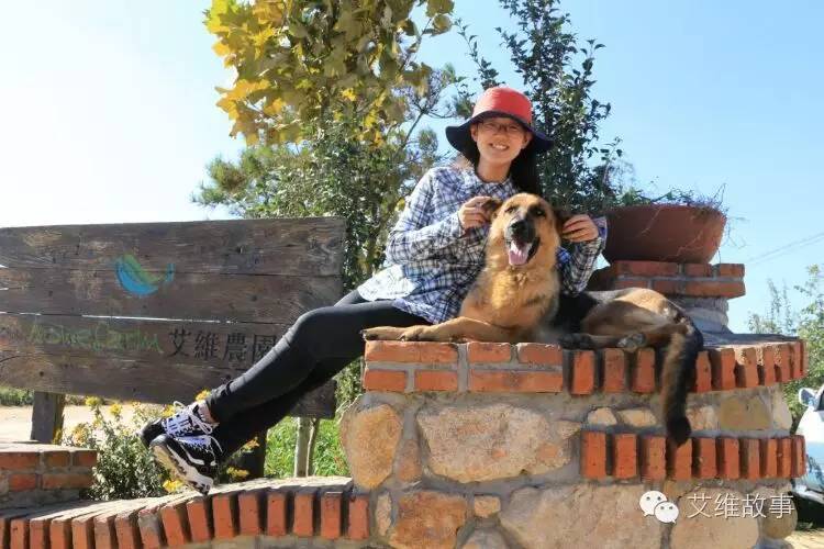 艾维wwoofer之：一路前行，一路感动