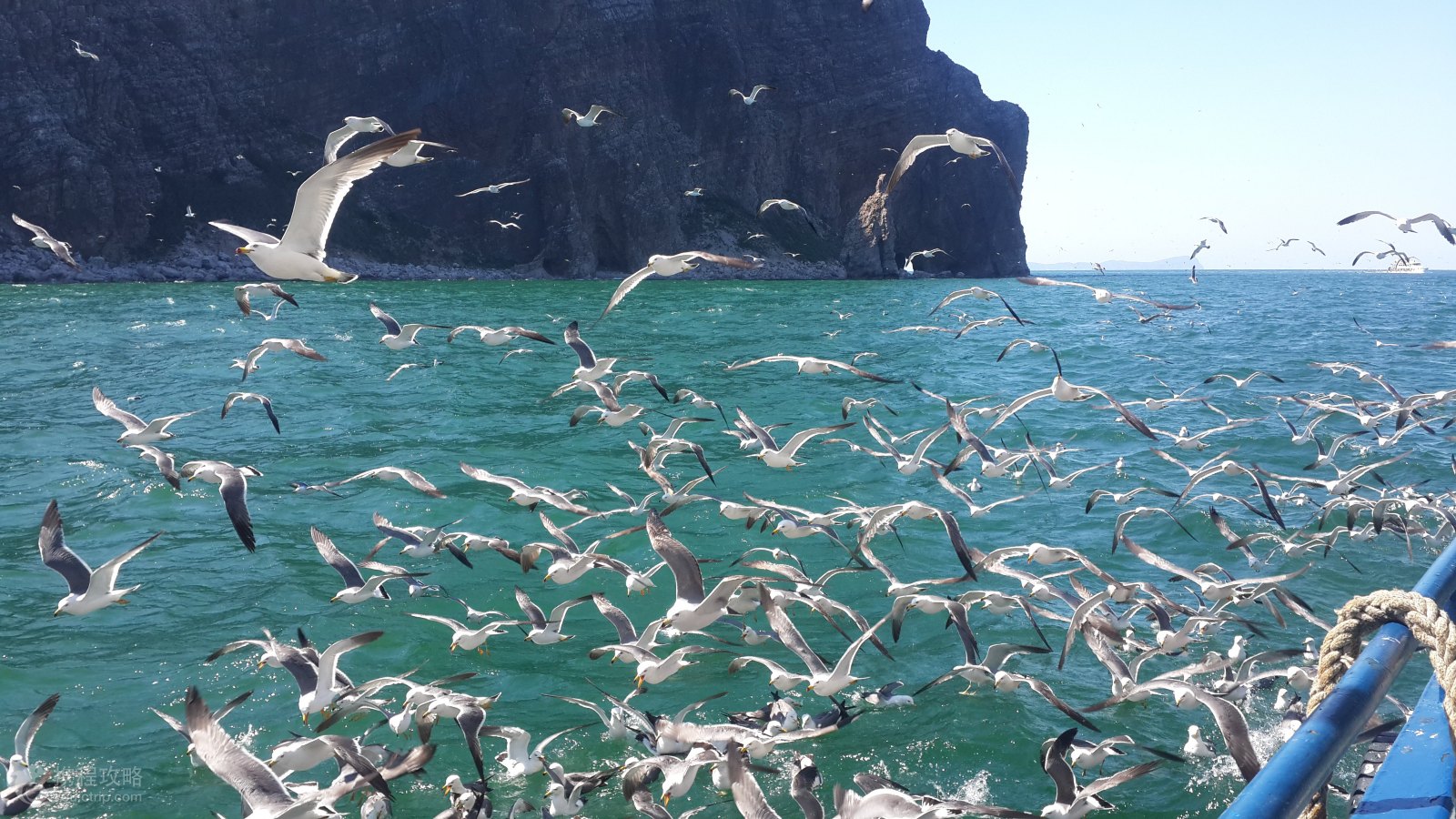 长岛免费景点攻略亲子,长岛海岛风情