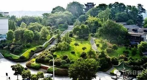 最佳赏桂花地点手绘地图,桂花赏花地图