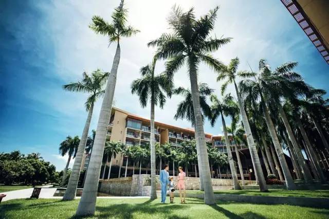 三亚亚龙湾海景酒店第一名,红树林亚龙湾酒店亲子酒店