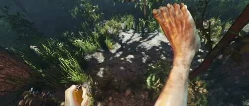 坑爹生存游戏攻略,一个惨绝人寰的生存游戏