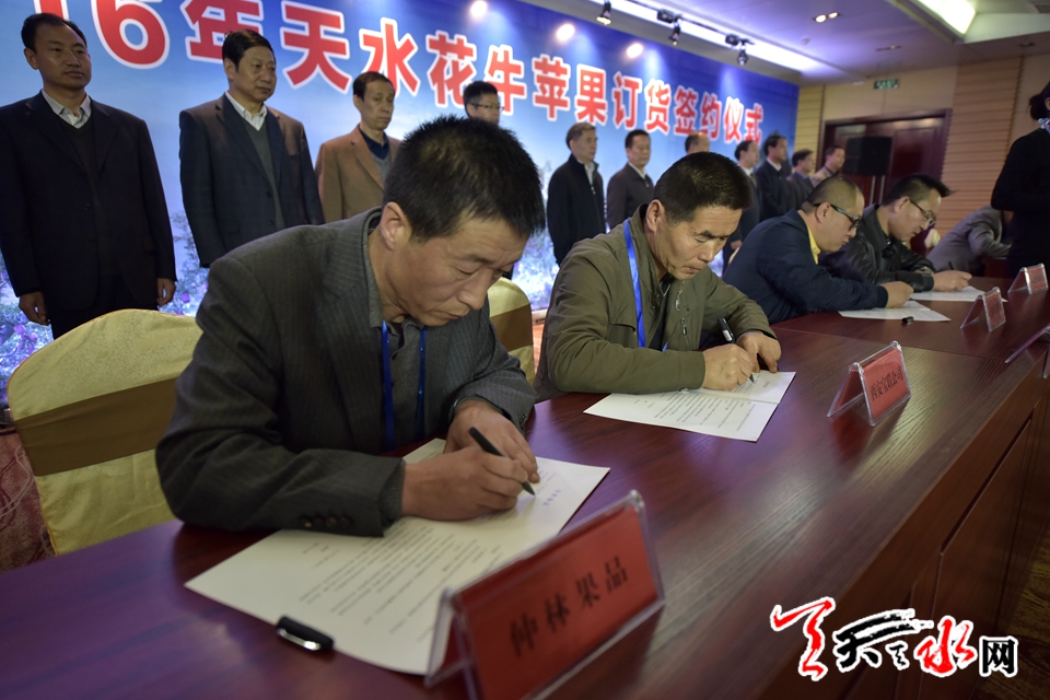 天水花牛苹果顺丰专场,天水花牛苹果发货现场