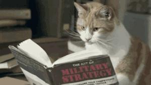 雅诗兰黛anr系列眼部精华,雅诗兰黛眼霜有没有缺点