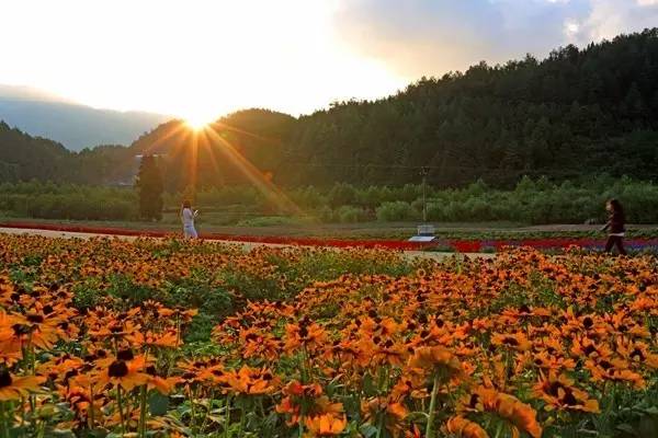 重庆五一小长假旅游推荐 (重庆国庆3天古镇游)