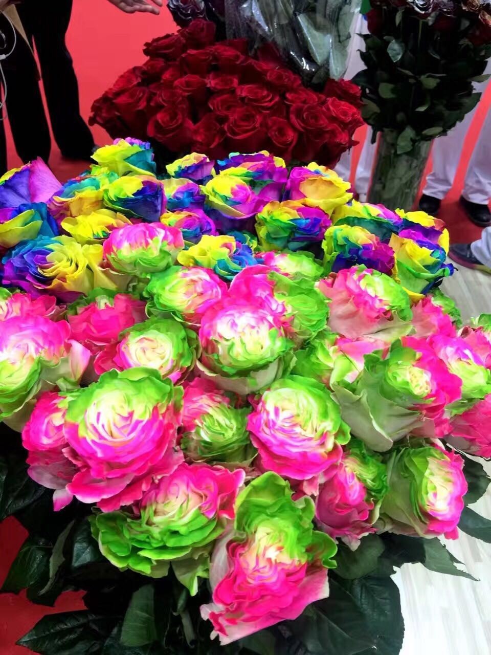 中国企业给拉美献上爱的抱抱(2)