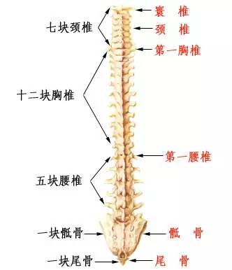 人马qa真的有用吗,人马qa真的有效吗