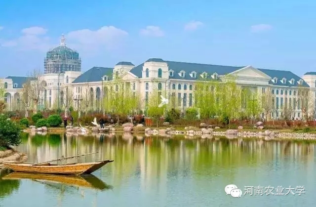 特别策划三分钟过后，农大小石榴马上开挂成老鸟！