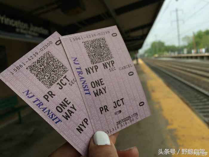 野鹅旅行,野鹅自驾无人区