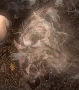 流放之路开荒快速过剧情攻略,流放之路近战剧情开荒攻略